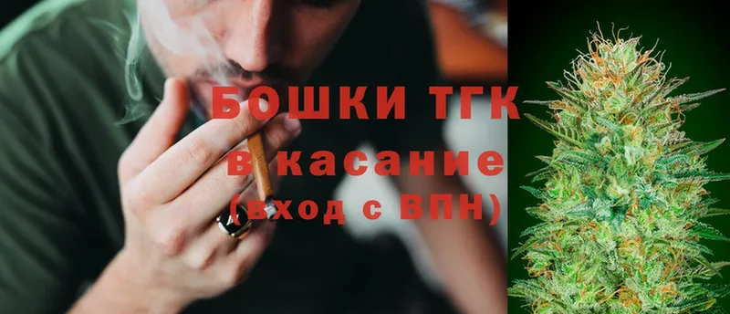 Конопля SATIVA & INDICA  что такое   Солигалич 